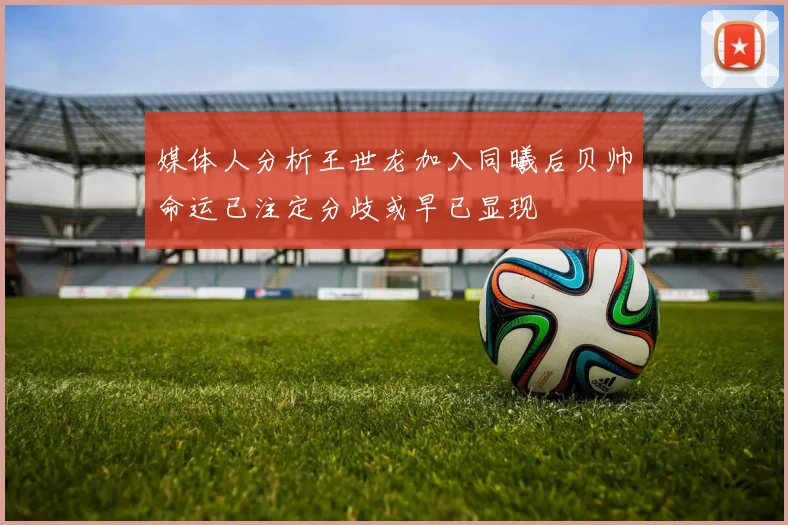 媒体人分析王世龙加入同曦后贝帅命运已注定分歧或早已显现