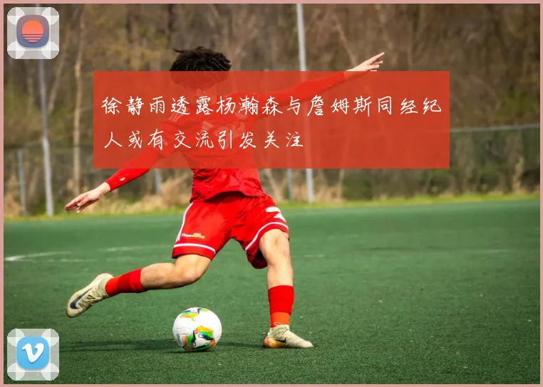 徐静雨透露杨瀚森与詹姆斯同经纪人或有交流引发关注