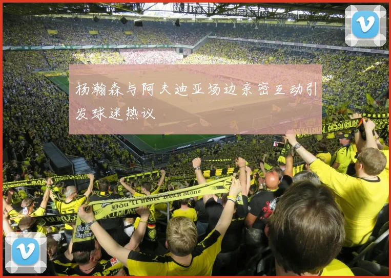 杨瀚森与阿夫迪亚场边亲密互动引发球迷热议