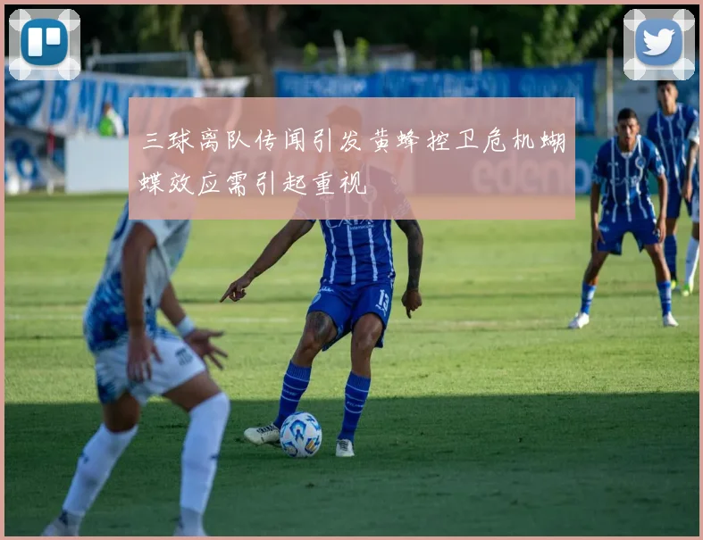 三球离队传闻引发黄蜂控卫危机蝴蝶效应需引起重视