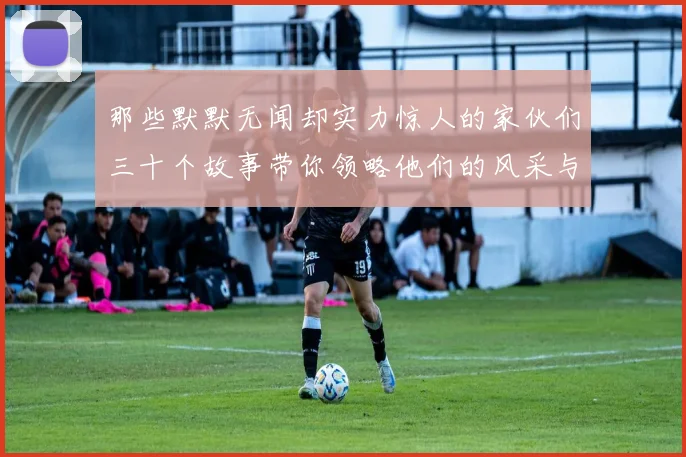 那些默默无闻却实力惊人的家伙们三十个故事带你领略他们的风采与传奇